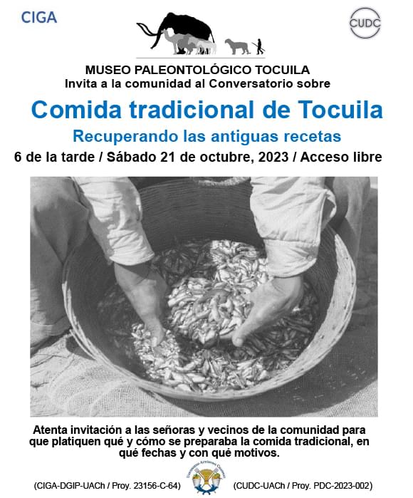 Imagen del Museo de Tocuila